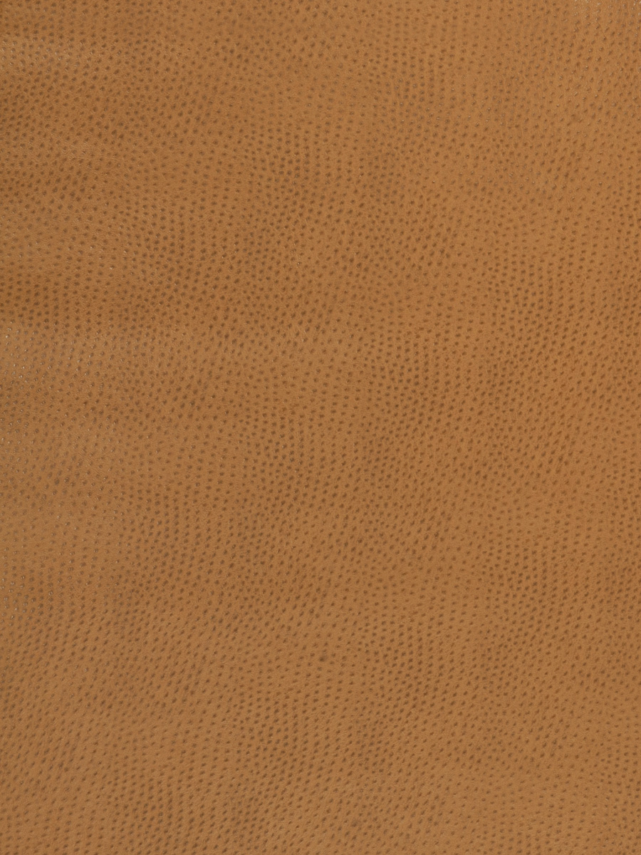 Westbury Caramel Fabric Fabricut